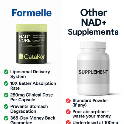 Formelle NAD+